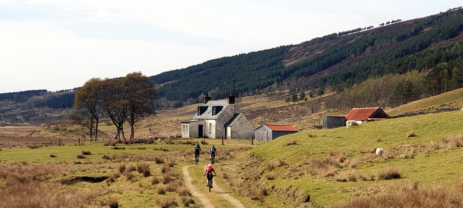 Photos from our Remote Highlands Cycling Holiday